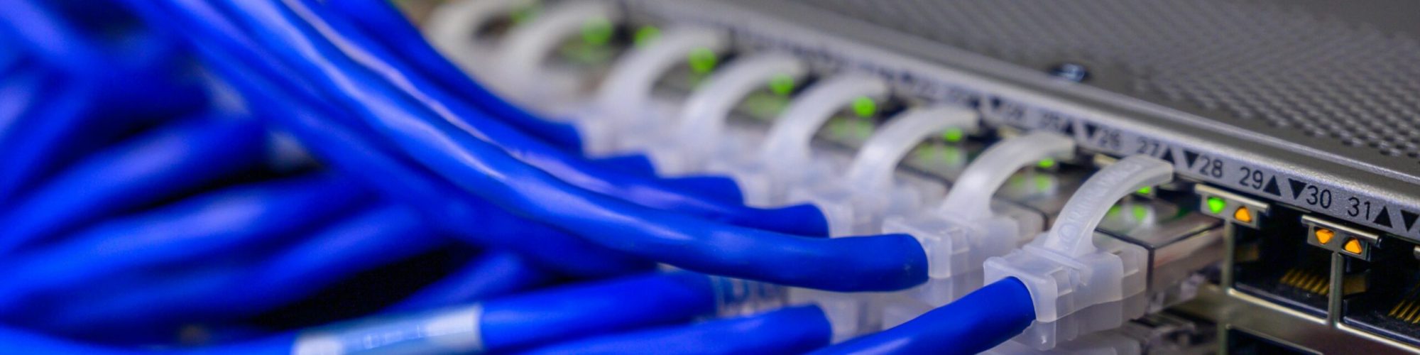 pexels brett sayles 2881232